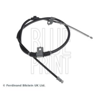 Tirette à câble, frein de stationnement arrière droit BLUE PRINT ADC446219 pour PORSCHE 911 1.8 DI-D - 116cv