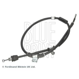 Tirette à câble, frein de stationnement arrière droit BLUE PRINT OEM 597702F200 Tirette à câble, frein de stationnement arrière droit BLUE PRINT OEM 597702F200