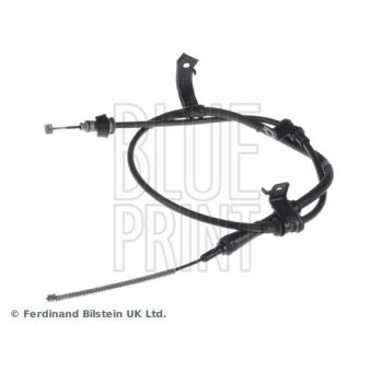Tirette à câble, frein de stationnement arrière droit BLUE PRINT OEM 597701G300
