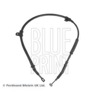 Tirette à câble, frein de stationnement arrière droit BLUE PRINT [ADG046193]
