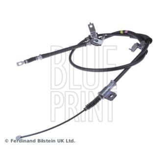 Tirette à câble, frein de stationnement arrière droit BLUE PRINT ADG046257 pour CADILLAC STS 2.5 CRDi - 110cv