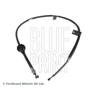 Tirette à câble, frein de stationnement arrière droit BLUE PRINT OEM 5977025000