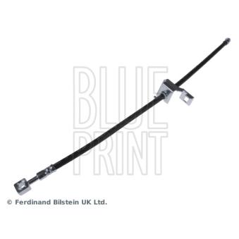 Flexible de frein arrière gauche BLUE PRINT OEM 13320679