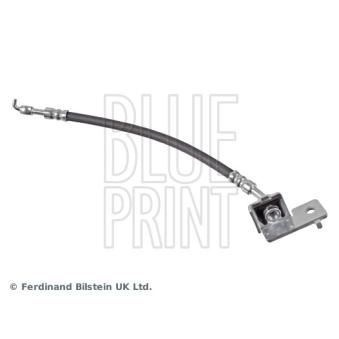 Flexible de frein arrière gauche BLUE PRINT ADG053322