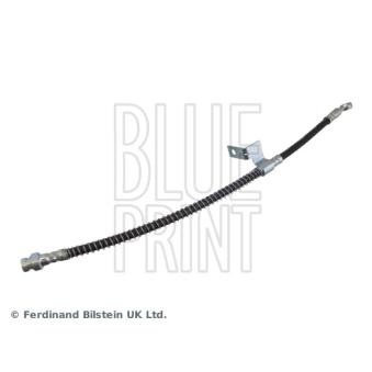 Flexible de frein avant gauche BLUE PRINT ADG05357