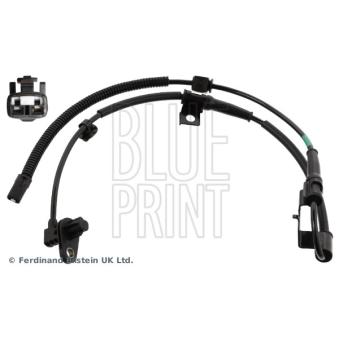 Capteur, vitesse de roue avant gauche BLUE PRINT OEM 598101H300