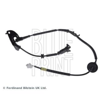 Capteur, vitesse de roue arrière droit BLUE PRINT [ADG07159]