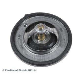 Thermostat d'eau BLUE PRINT OEM 255002A050