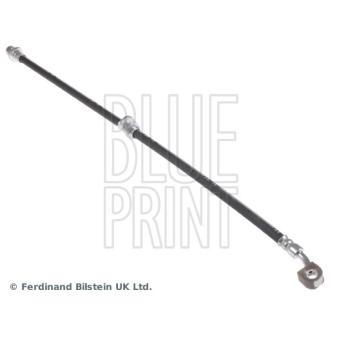 Flexible de frein avant gauche BLUE PRINT OEM 01465SNAA02