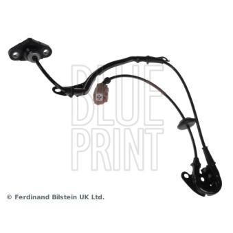 Capteur, vitesse de roue avant droit BLUE PRINT ADH27102 pour HONDA CR-V 2.0 16V - 128cv