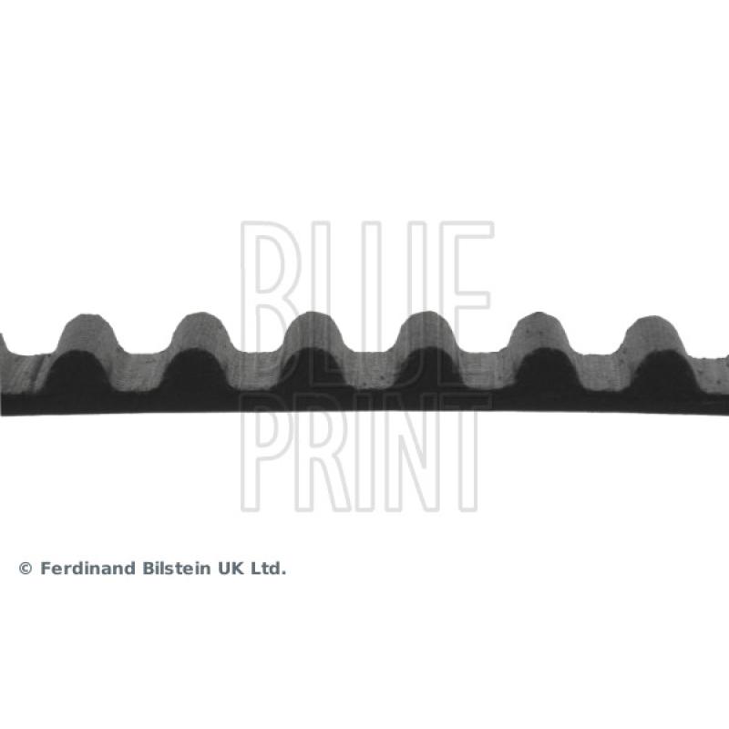 Courroie crantée BLUE PRINT ADH27518 - Visuel 1