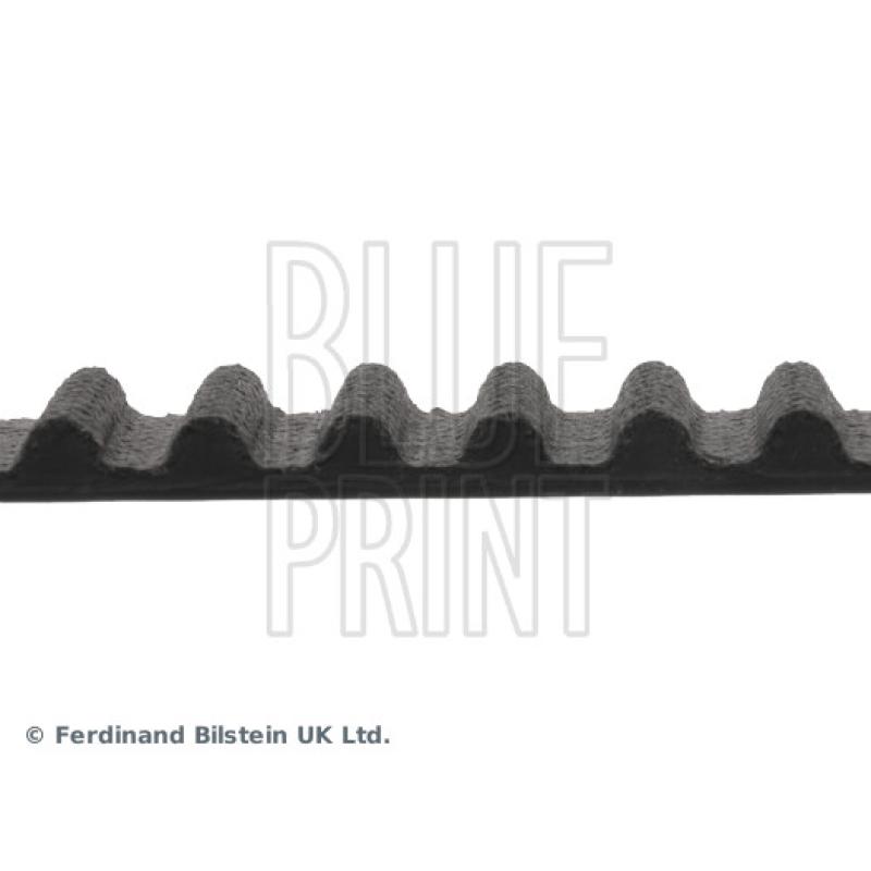 Courroie crantée BLUE PRINT ADH27519 - Visuel 1