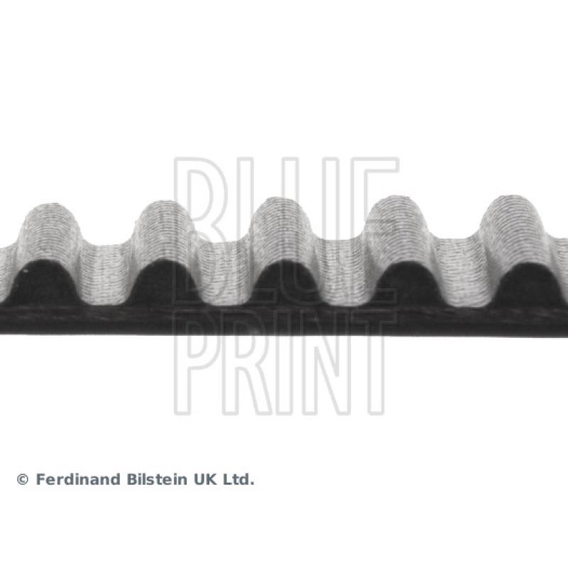 Courroie crantée BLUE PRINT ADH27527 - Visuel 1