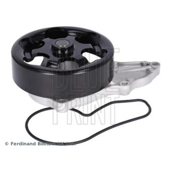 Pompe à eau BLUE PRINT OEM 19200RBB013