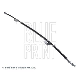 Flexible de frein avant gauche BLUE PRINT OEM ANR3259