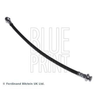 Flexible de frein BLUE PRINT OEM 5156081A00 Flexible de frein BLUE PRINT OEM 5156081A00