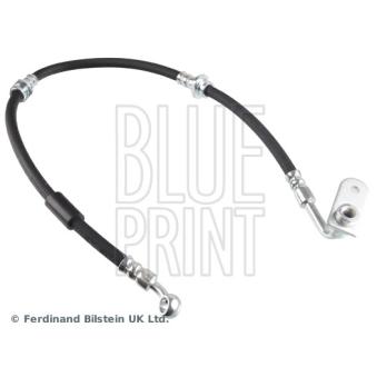 Flexible de frein BLUE PRINT OEM 5154065D00
