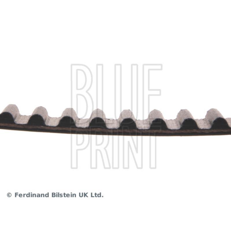 Courroie crantée BLUE PRINT ADK87505 - Visuel 1
