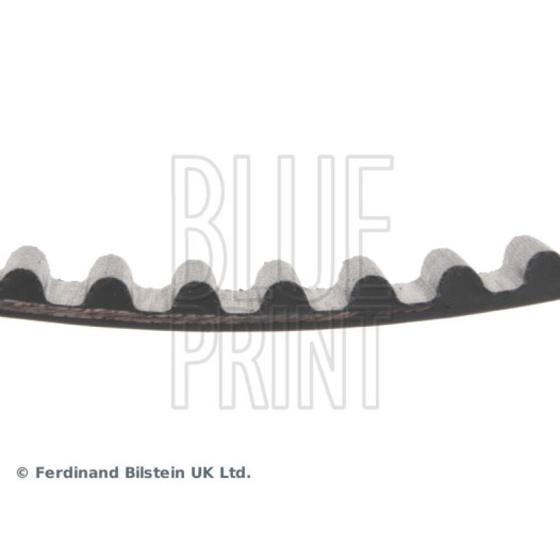 Courroie crantée BLUE PRINT ADK87508 - Visuel 1