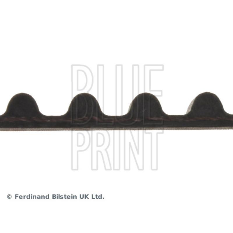 Courroie crantée BLUE PRINT ADK87509 - Visuel 1