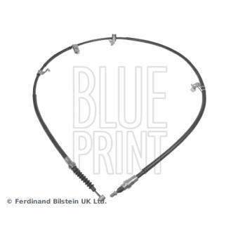 Tirette à câble, frein de stationnement arrière gauche BLUE PRINT ADM546121 pour TOYOTA COROLLA 2.0 CD - 110cv