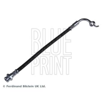 Flexible de frein arrière gauche BLUE PRINT OEM NA7543990A