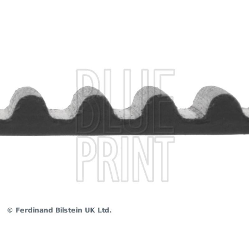 Courroie crantée BLUE PRINT ADM57516 - Visuel 1