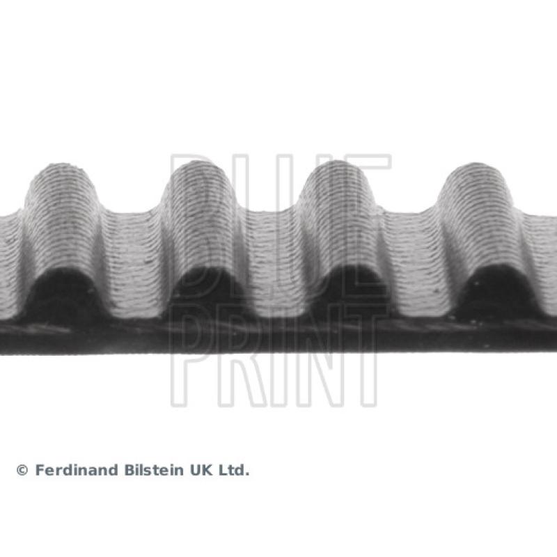 Courroie crantée BLUE PRINT ADM57517 - Visuel 1