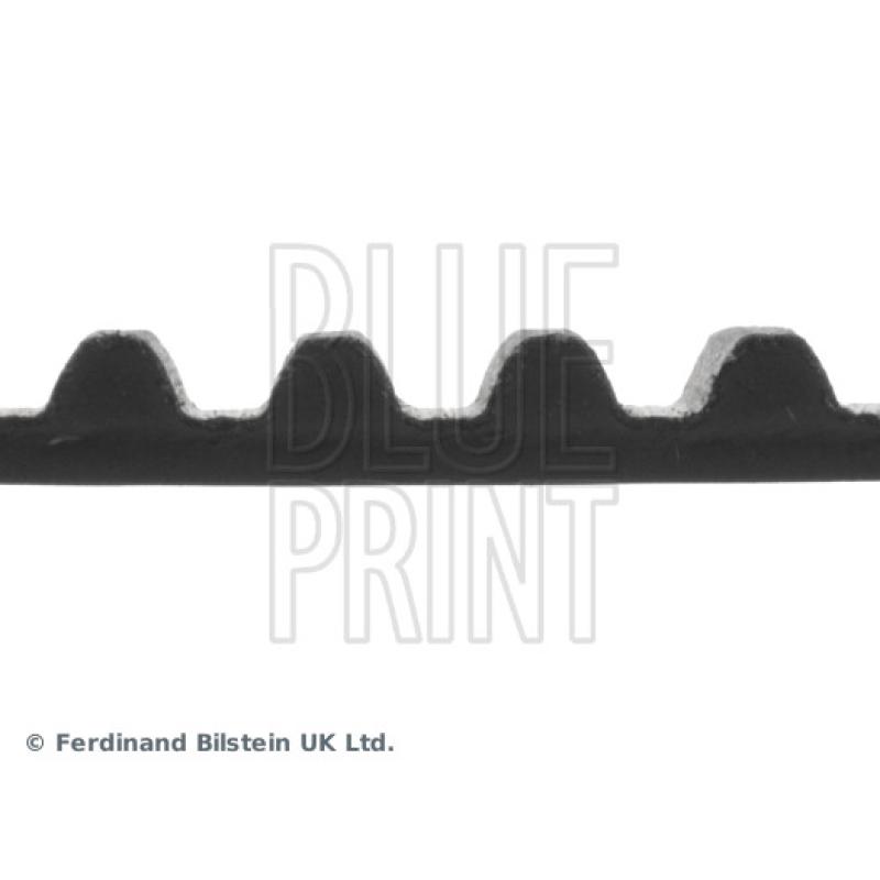 Courroie crantée BLUE PRINT ADM57521 - Visuel 1