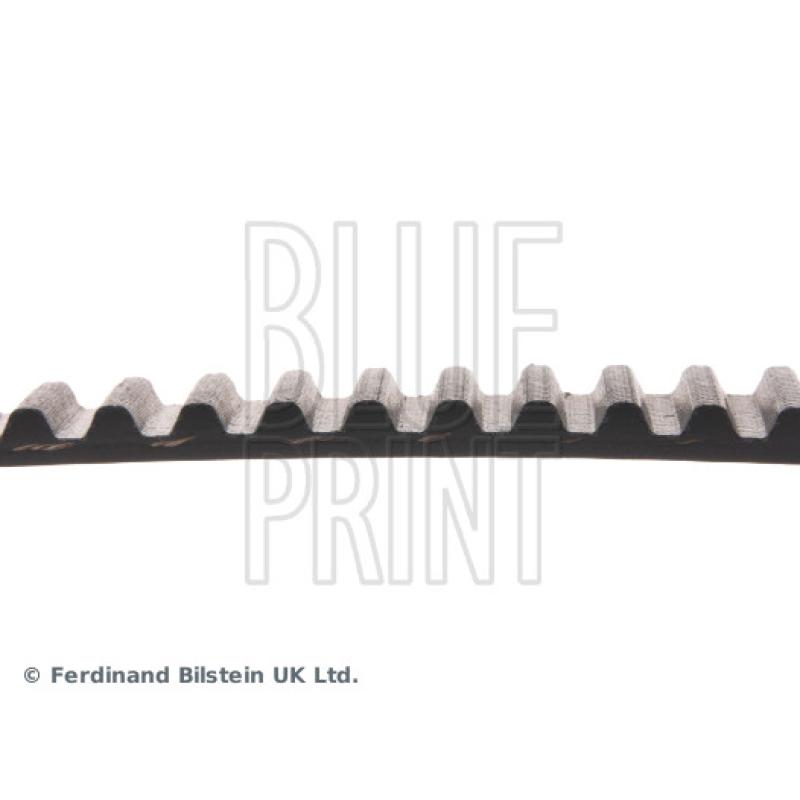 Courroie crantée BLUE PRINT ADM57525 - Visuel 1
