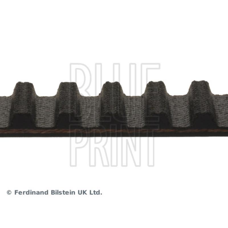 Courroie crantée BLUE PRINT ADM57528 - Visuel 1