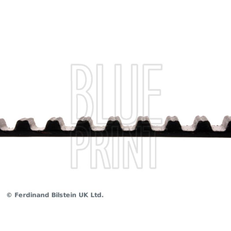 Courroie crantée BLUE PRINT ADM57529 - Visuel 1