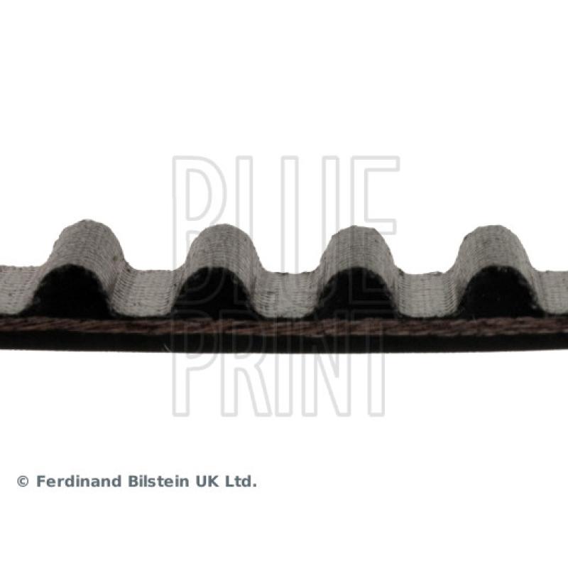 Courroie crantée BLUE PRINT ADM57530 - Visuel 1