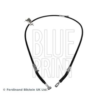 Tirette à câble, frein de stationnement arrière droit BLUE PRINT OEM 365309F000