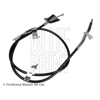 Tirette à câble, frein de stationnement arrière droit BLUE PRINT OEM 36530AV601