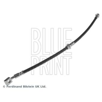 Flexible de frein BLUE PRINT OEM 462109C008