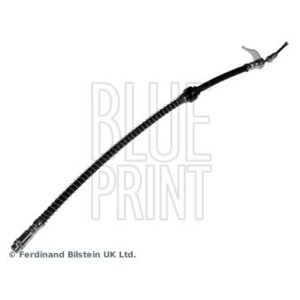 Flexible de frein BLUE PRINT OEM 93192668