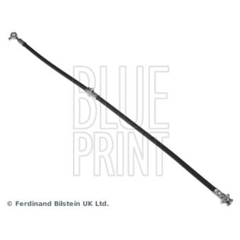 Flexible de frein avant droit BLUE PRINT OEM 46210JD000