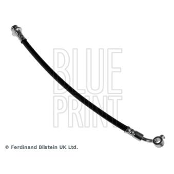 Flexible de frein arrière gauche BLUE PRINT ADN153234