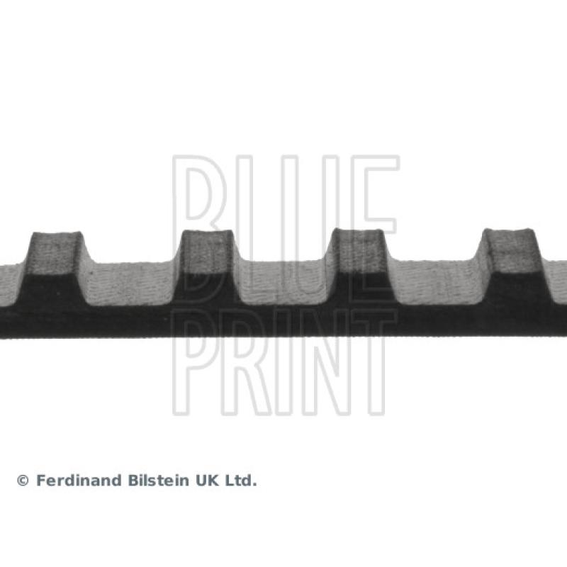 Courroie crantée BLUE PRINT ADN17505 - Visuel 1