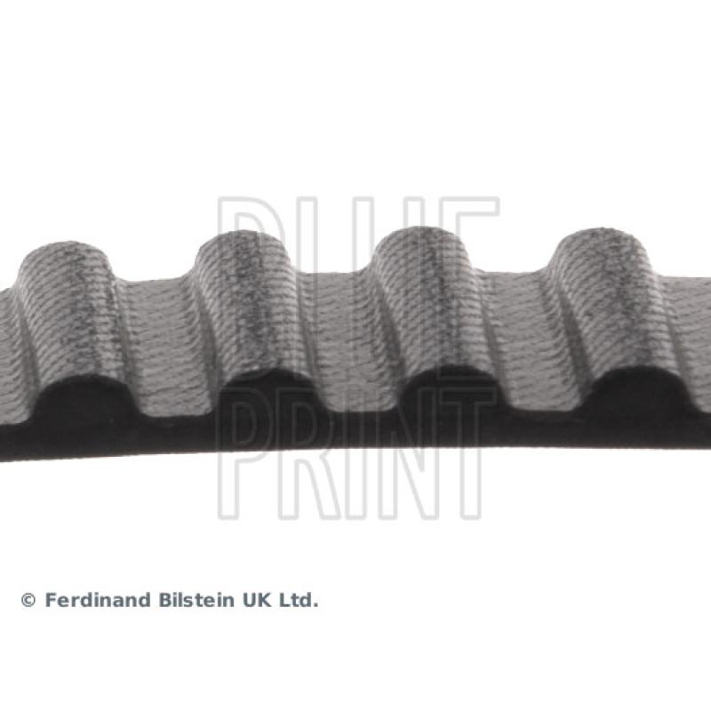 Courroie crantée BLUE PRINT ADN17513 - Visuel 1