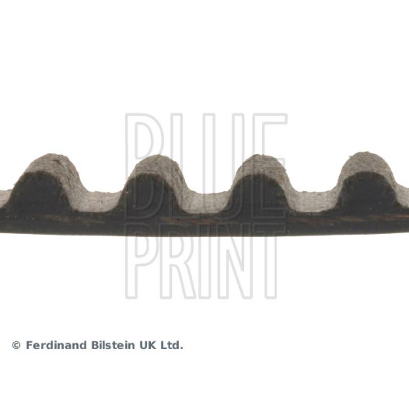 Courroie crantée BLUE PRINT ADN17538 - Visuel 1