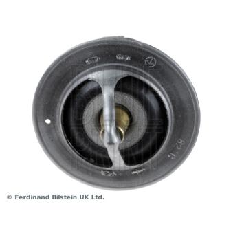 Thermostat d'eau BLUE PRINT ADN19218