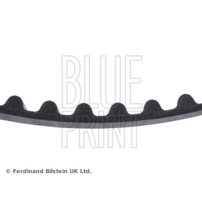 Courroie crantée BLUE PRINT ADS77503 - Visuel 1