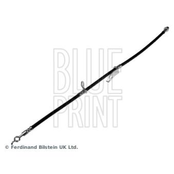 Flexible de frein avant droit BLUE PRINT OEM 9094702F49