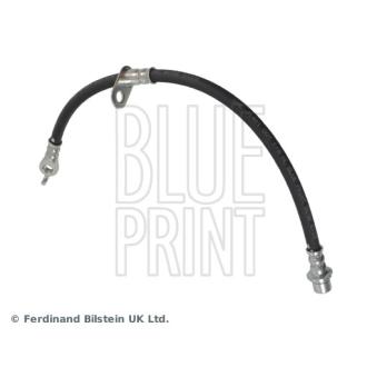 Flexible de frein avant droit BLUE PRINT [ADT353418]