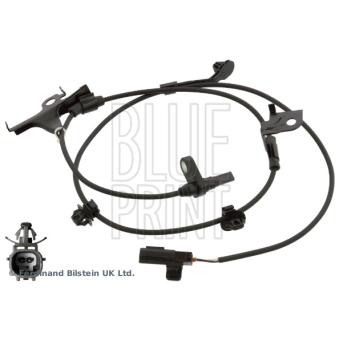 Capteur, vitesse de roue avant gauche BLUE PRINT OEM 8954352090