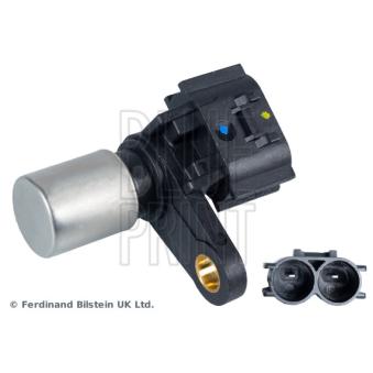 Capteur d'angle, vilebrequin BLUE PRINT OEM 9091905042