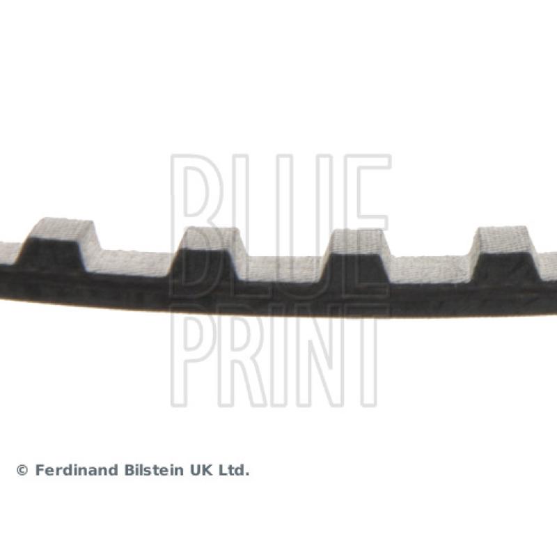 Courroie crantée BLUE PRINT ADT37501 - Visuel 1