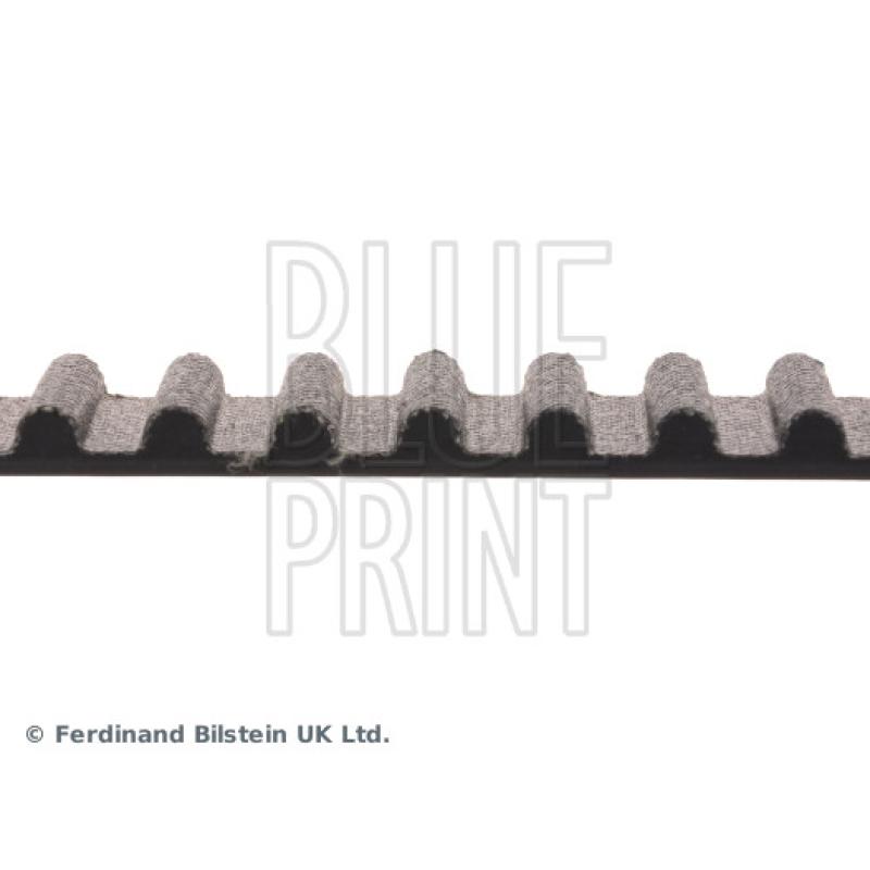 Courroie crantée BLUE PRINT ADT37539 - Visuel 1